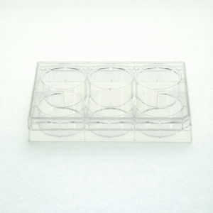 NEST Cell Culture Plate – 6 Wells