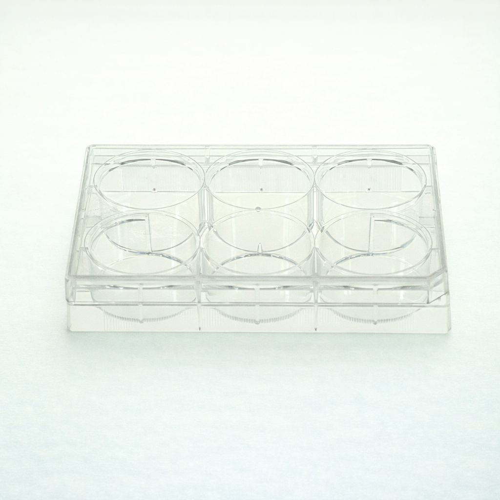 NEST Cell Culture Plate,703021,6 Wells,Clear,Flat Bottom,TC,Non-Sterile,Bag Package(10 pcs/pack,50 pcs/case)