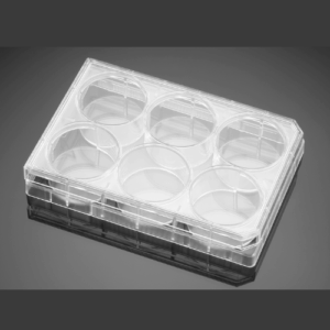 Nest 6 Well Cell Culture Plate, Flat Bottom - Clear