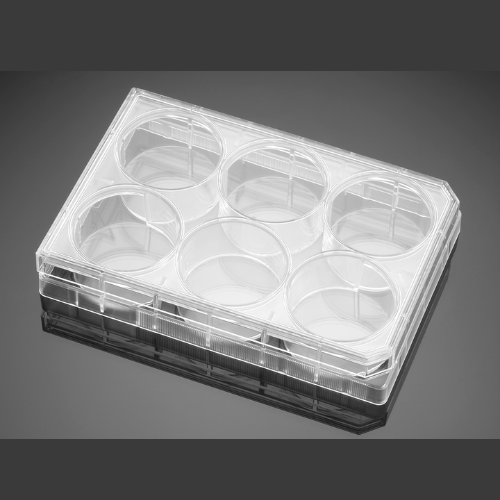 Nest 6 Well Cell Culture Plate, Flat Bottom - Clear