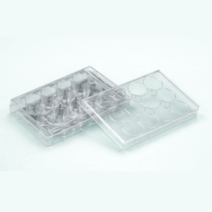 NEST Cell Culture Plate - 712001 (12 Wells, Clear, Flat Bottom, TC, Sterile, Blister Package 1 pc / pack & 50 pcs / case)