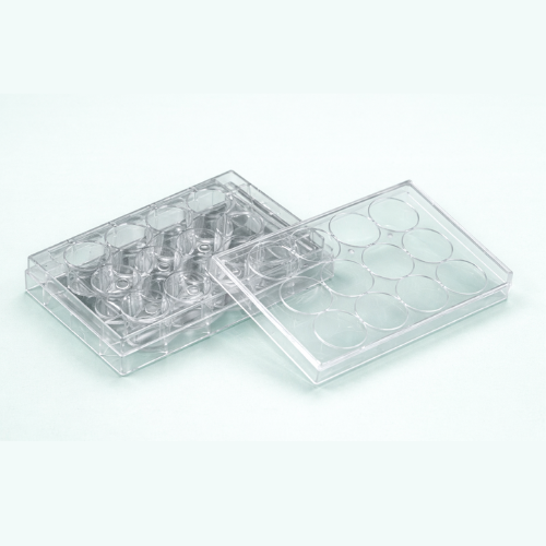 NEST Cell Culture Plate - 12 Wells